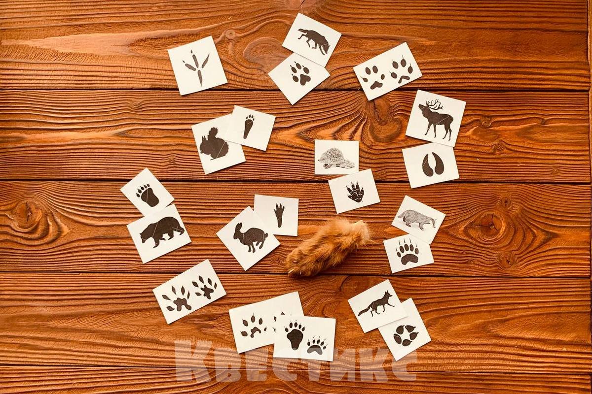 квест в школе