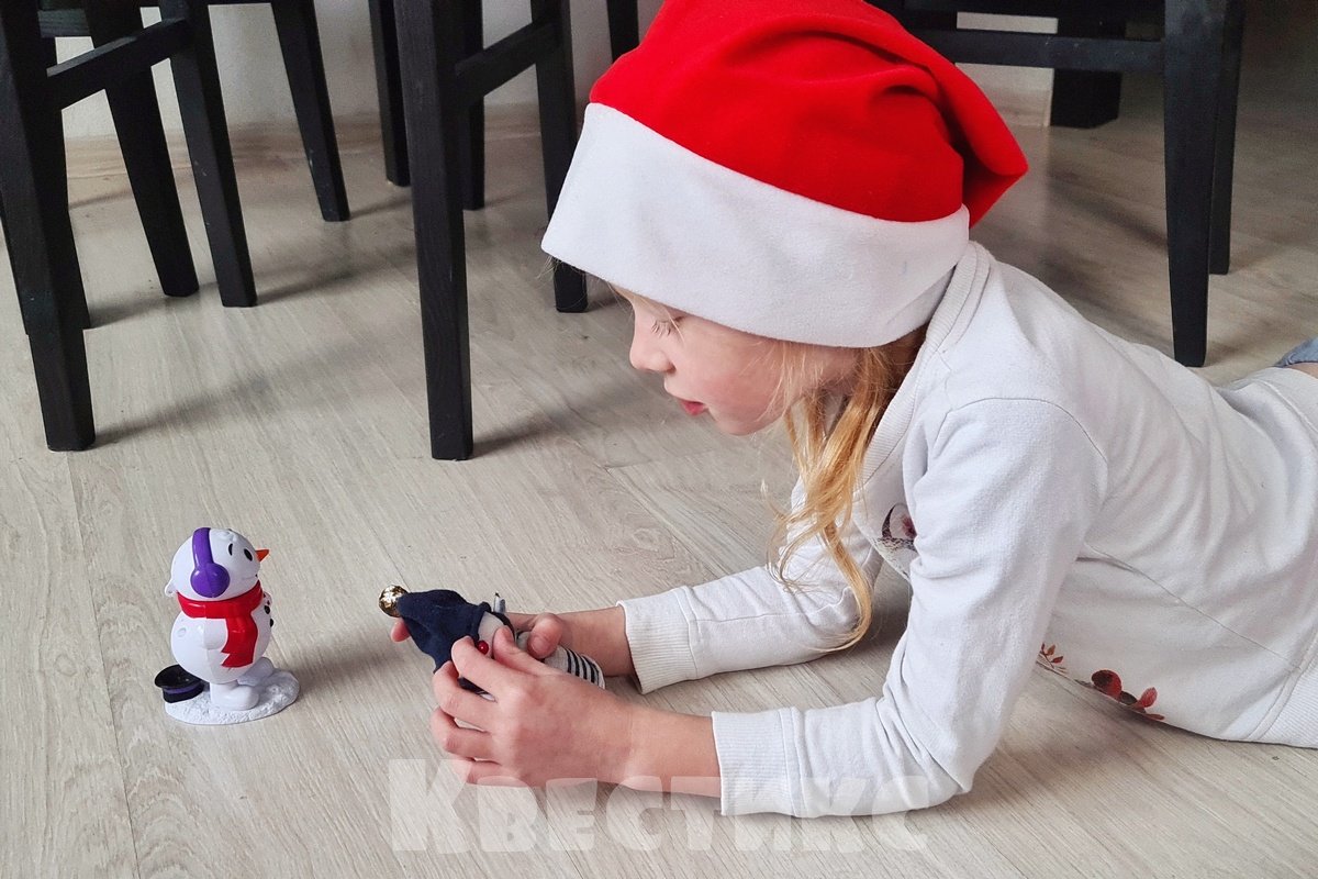 новогоднее веселье