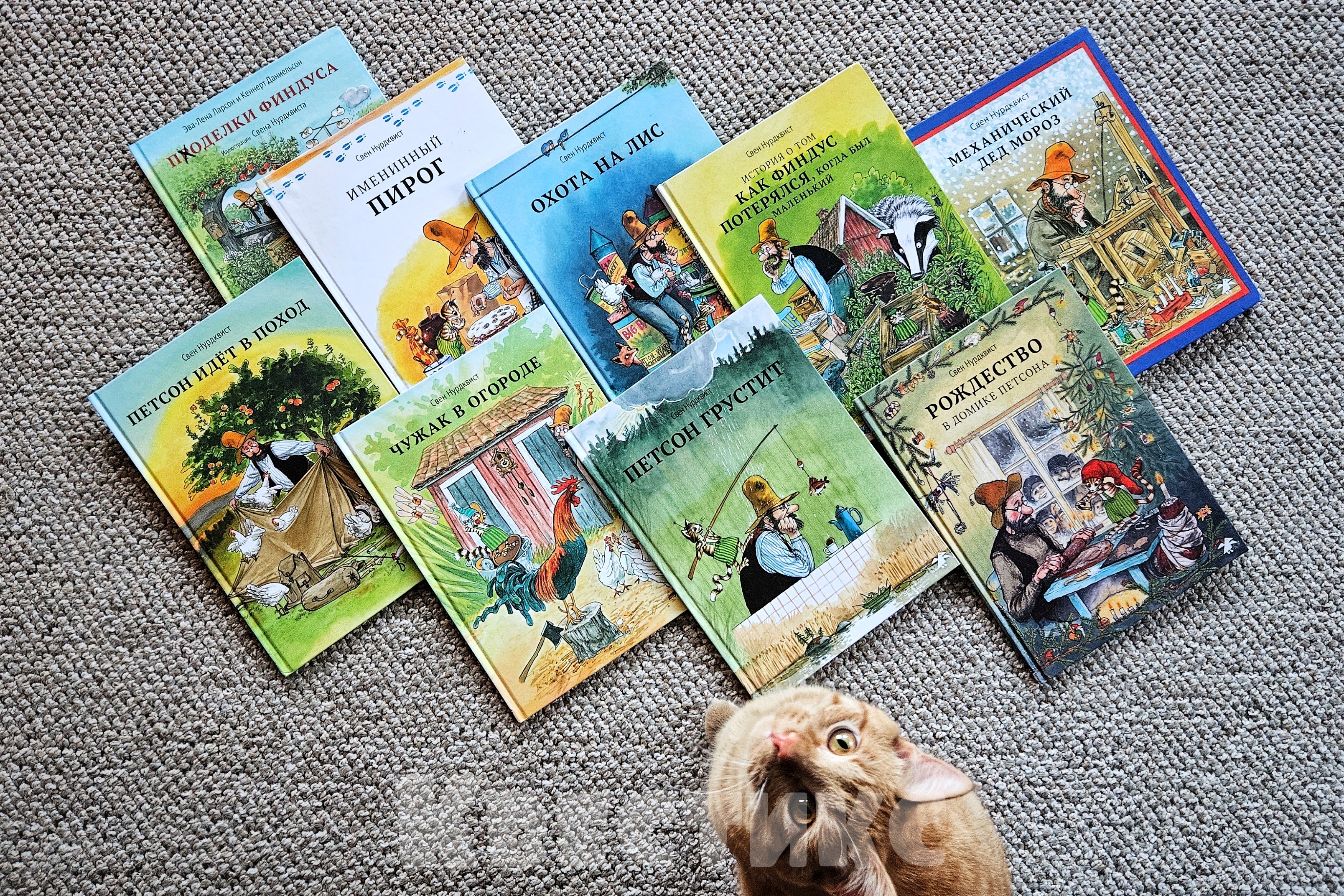 книги про петсона и финдуса