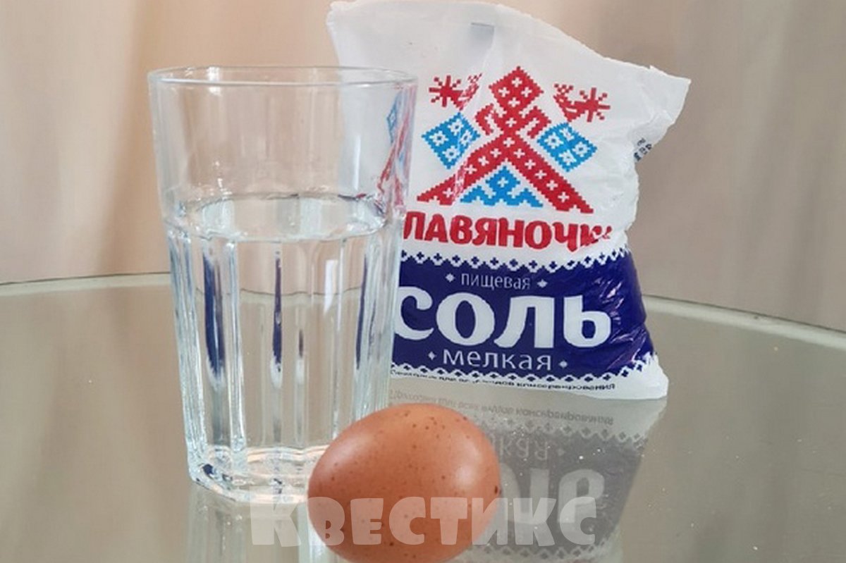 опыт с яйцами