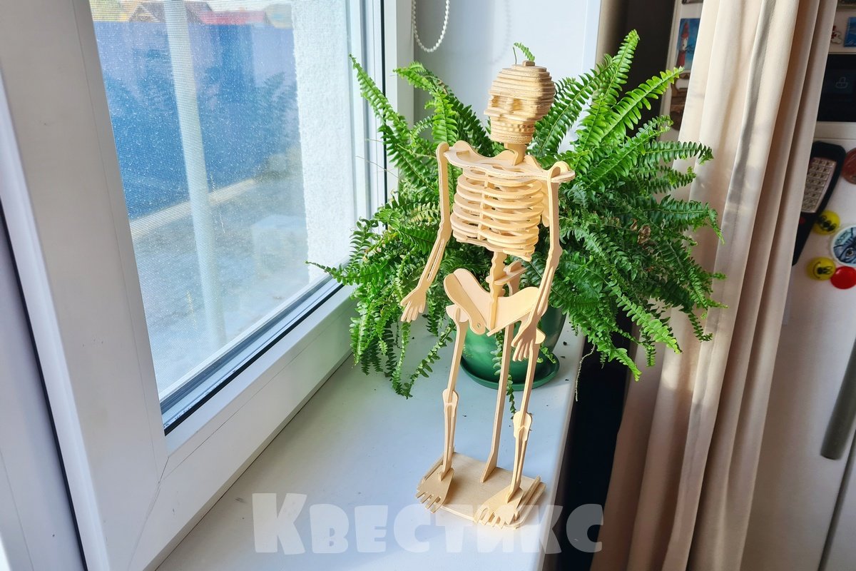 скелет хэллоуин