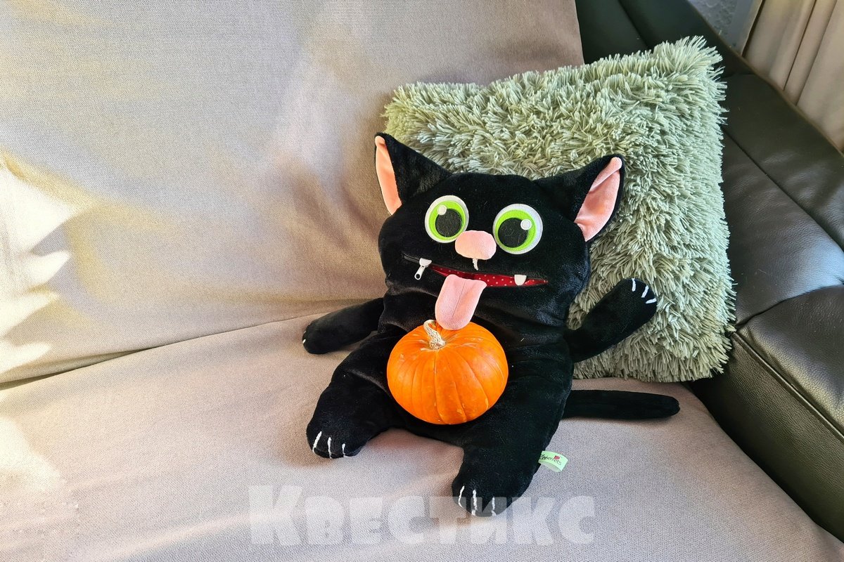 черный кот хэллоуин
