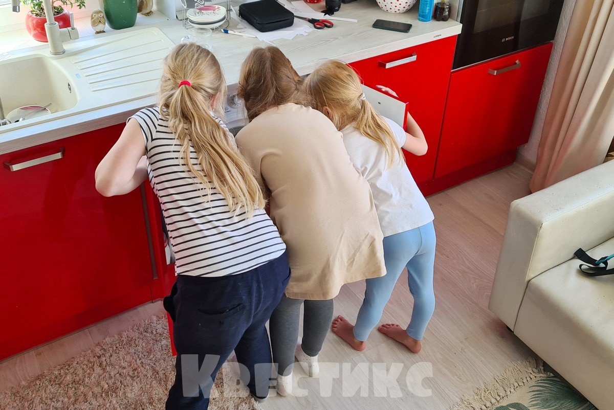 домашний квест подарок