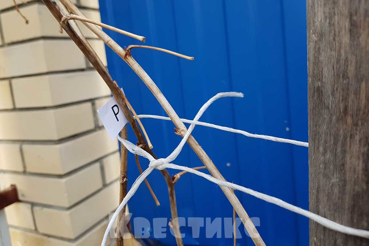 загадка слово по буквам