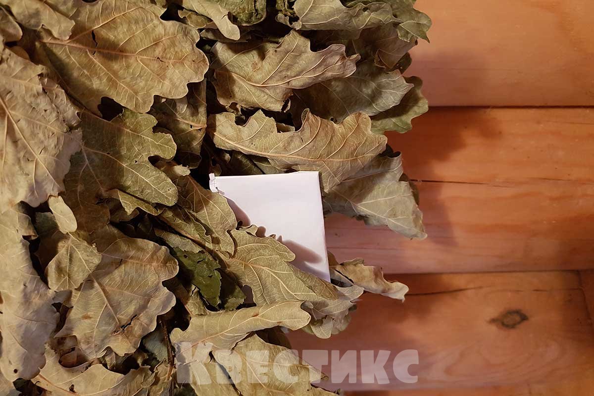 веник подсказка в квесте