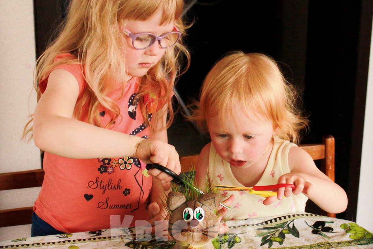 травянчик выращиваем травку