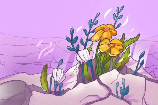 Сила природы, 12+